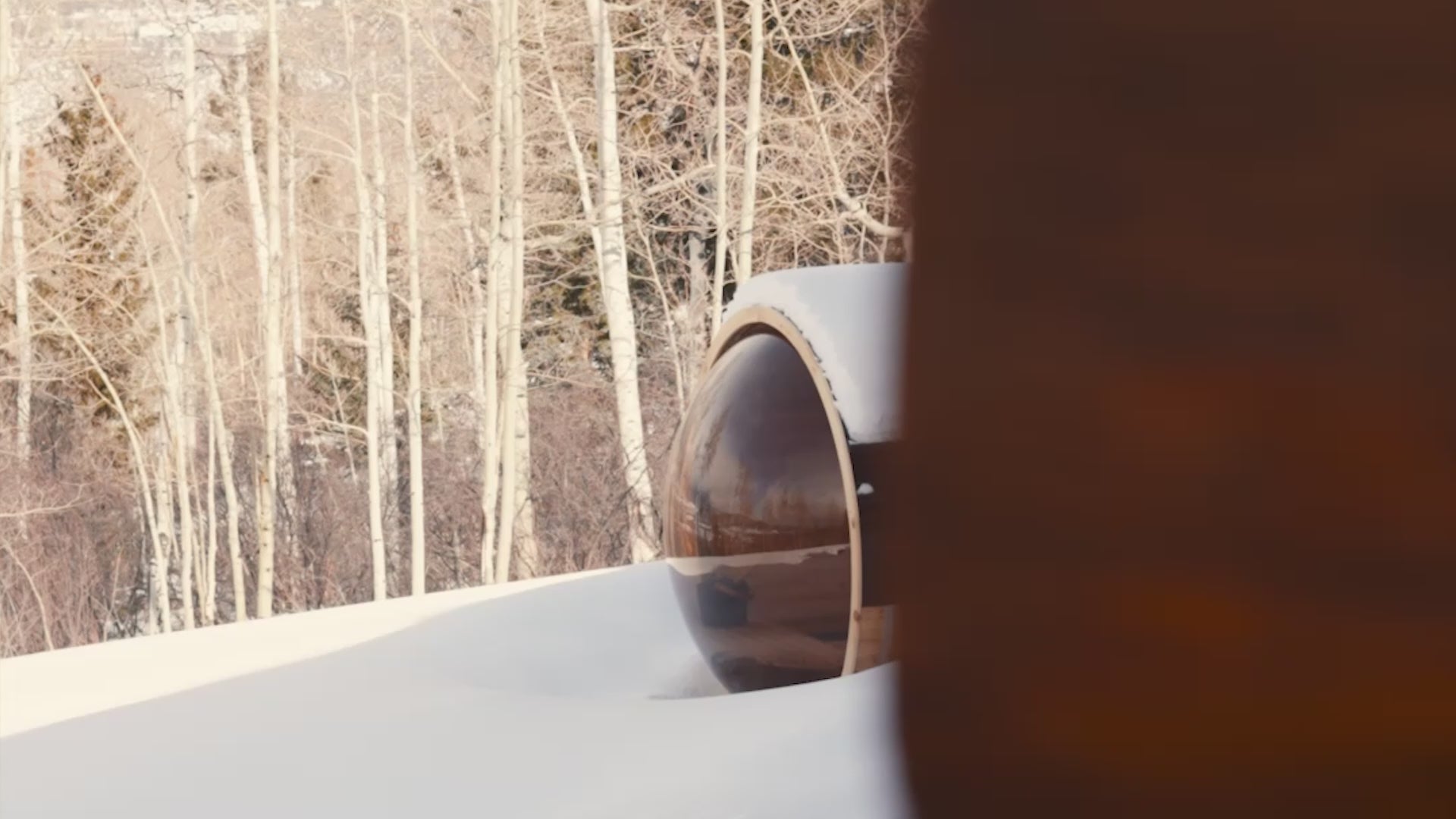 Load video: Premium 7'x 12' Barrel Sauna With 4' Change Room